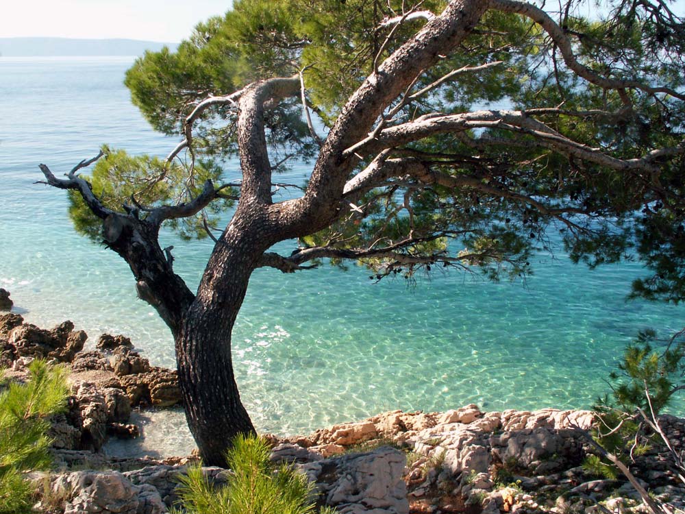 Villa Natalie Nemira Omiš Croatia Apartments